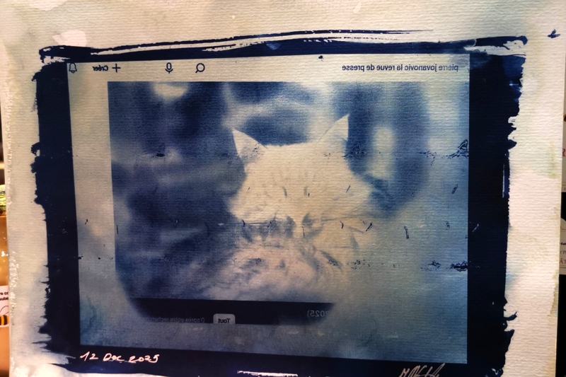 mont de marsan 2025 jovanovic 